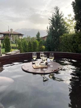 Ski & Spa Chalet Bansko Exterior photo